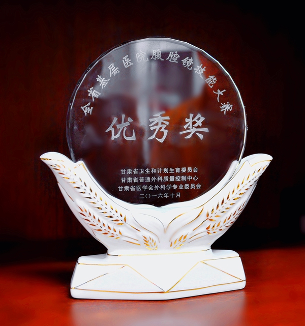 我院在2016年全省基層醫(yī)院腹腔鏡技能大賽中榮獲佳績(jī)
